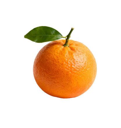 Electrolyte Pouches