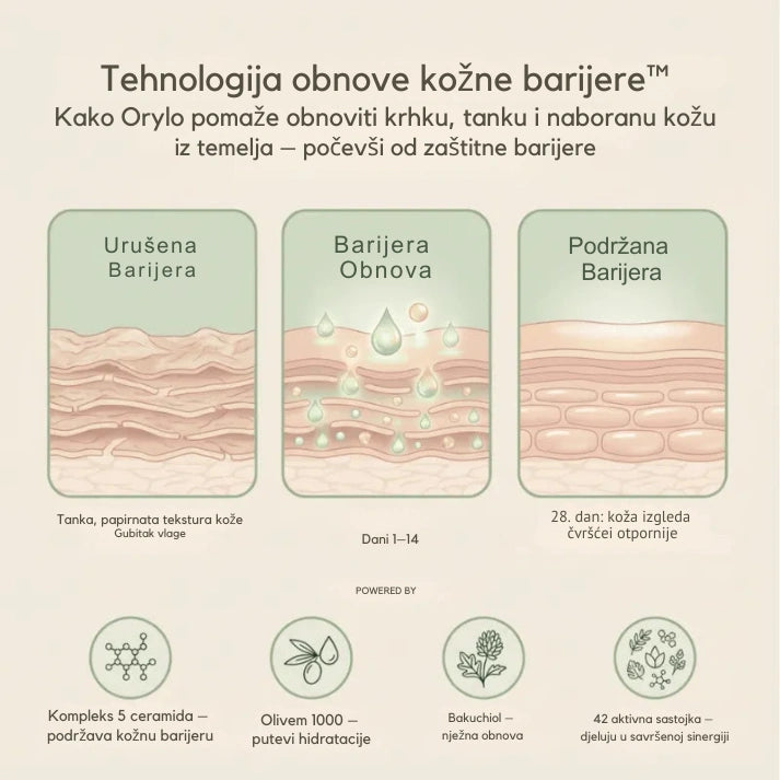 Skin Repair Cream V2