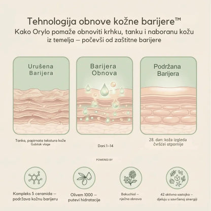 Skin Repair Cream V2