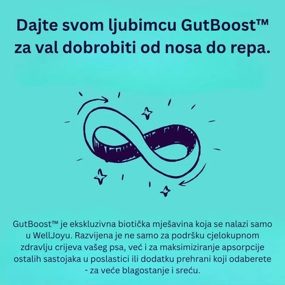 Joint + GutBoost Dog Treats